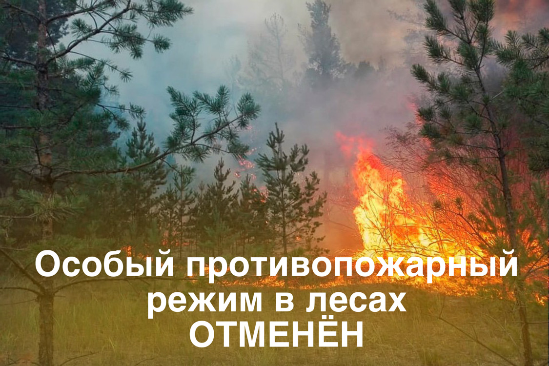 Особый противопожарный режим в  лесах отменён.